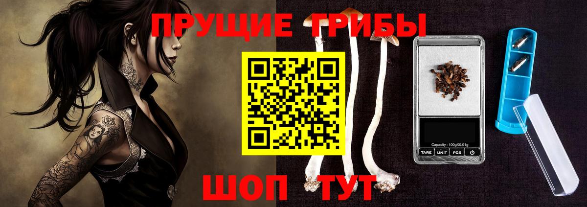 Ухта  Галлюциногенные грибы Psilocybe  Вход с VPN  Псилоцибиновые грибы мицелий 