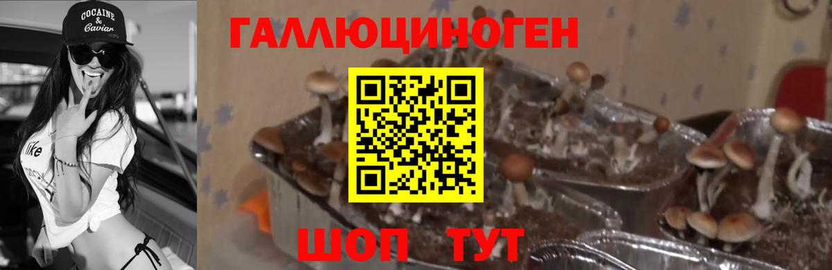 Галлюциногенные грибы MAGIC MUSHROOMS Ухта